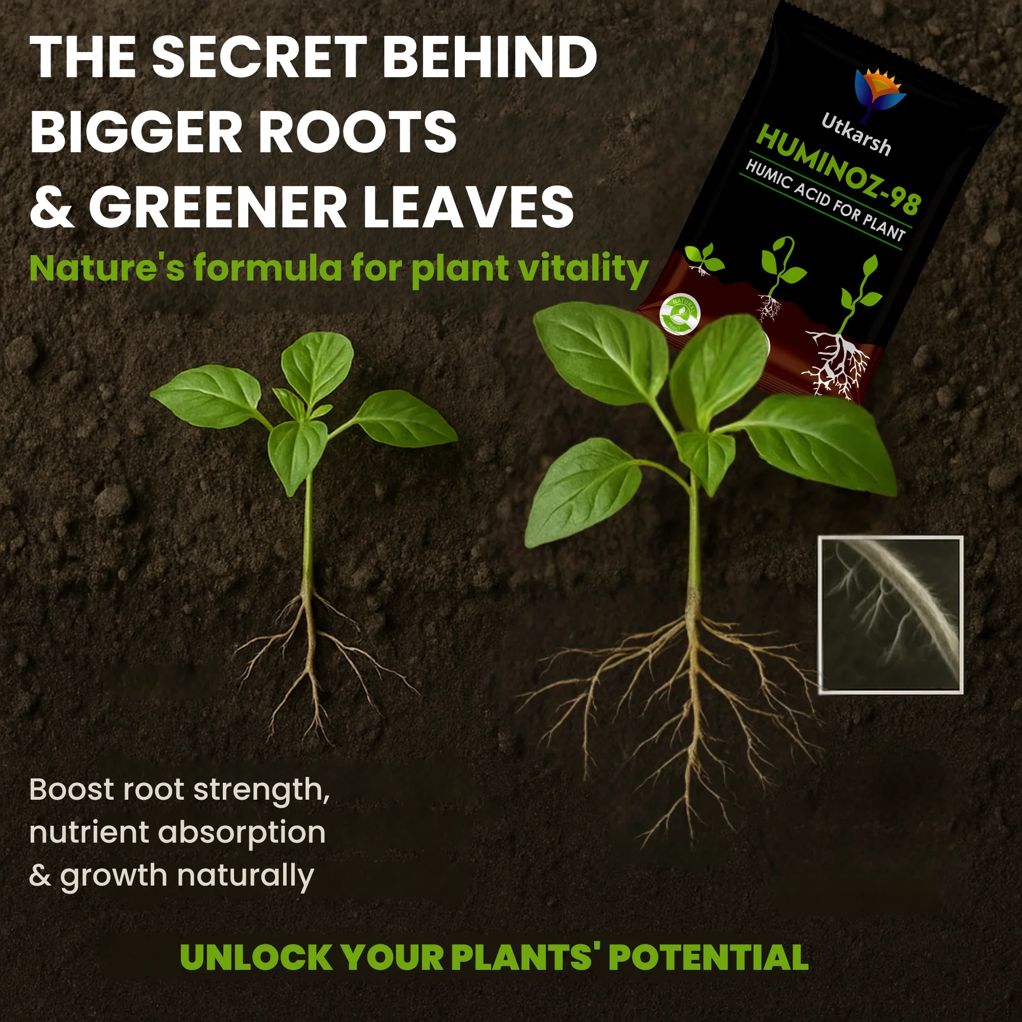 Utkarsh Huminoz-98 Humic Acid (98%) for Plants- 25 Kg Bag | Fertilizer for Potted Plants, Home Garden, Growth Enhancer, Soil Conditioner, Improves Root System - Image 3