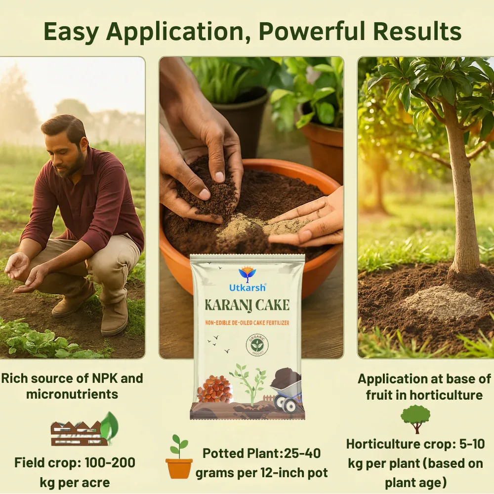 Karanj Cake | Pongamia Cake Khali | Organic Fertilizers Manure for Gardening, All Types of Plants, Flowers, Vegetables & Lawn - Image 4