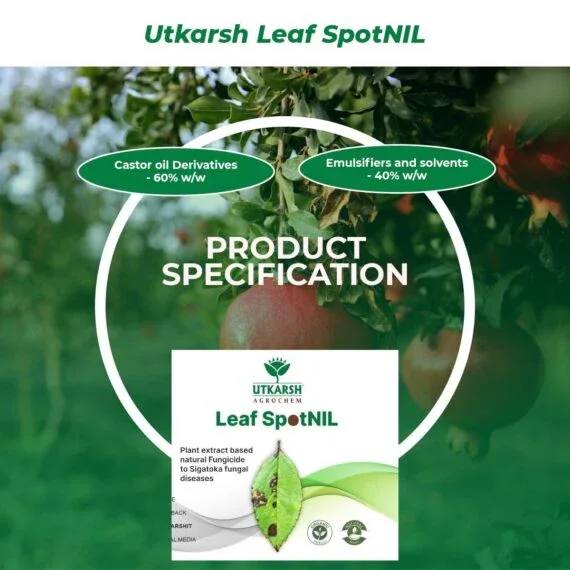 LeafspotNIL - Plant Extract-Based Natural Fungicide - Image 5