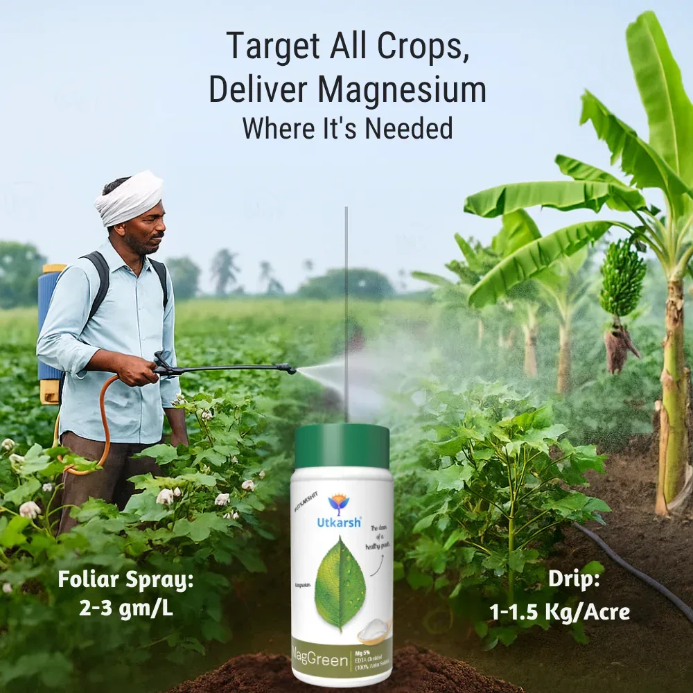 Magnesium - 5% EDTA Chelated Micronutrient, 100% Water Soluble Fertilizers for Plants, Growth Booster for Healthy Green Plants, Crops, Home Garden | MagGreen - Image 5