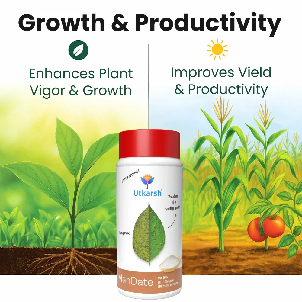 Manganese - 10% EDTA Chelated Micronutrient, 100% Water Soluble Fertilizers for Plants, Resistance to Root Pathogens, Enhances & Boosts Plant Growth | ManDate - Image 3