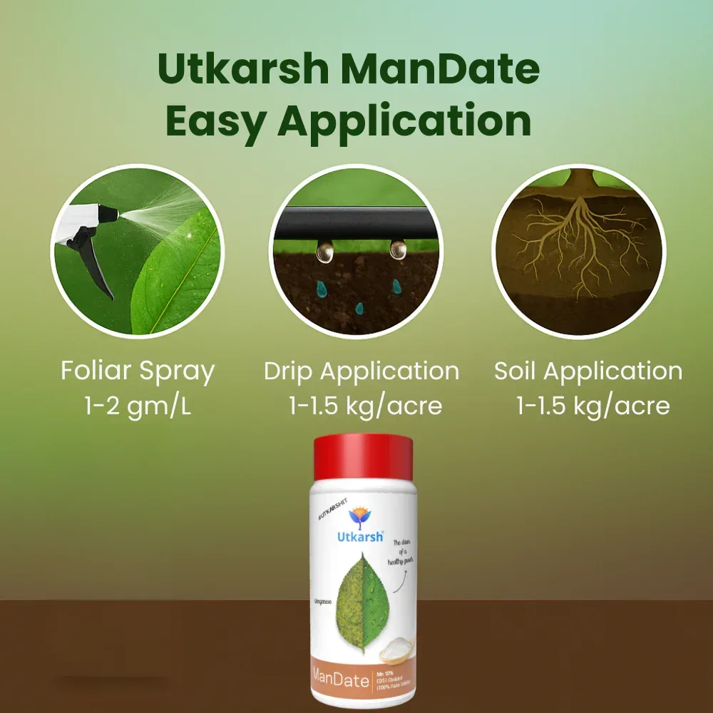 Manganese - 10% EDTA Chelated Micronutrient, 100% Water Soluble Fertilizers for Plants, Resistance to Root Pathogens, Enhances & Boosts Plant Growth | ManDate - Image 4