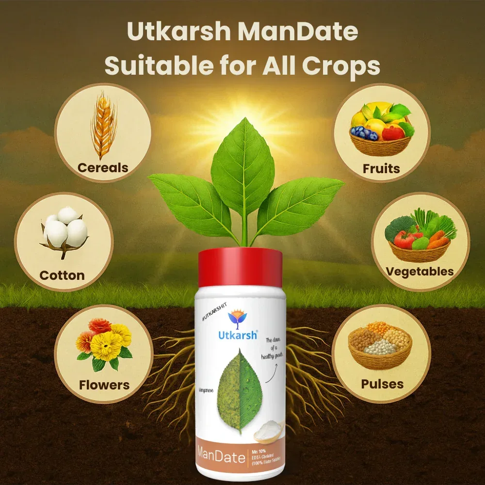 Manganese - 10% EDTA Chelated Micronutrient, 100% Water Soluble Fertilizers for Plants, Resistance to Root Pathogens, Enhances & Boosts Plant Growth | ManDate - Image 5