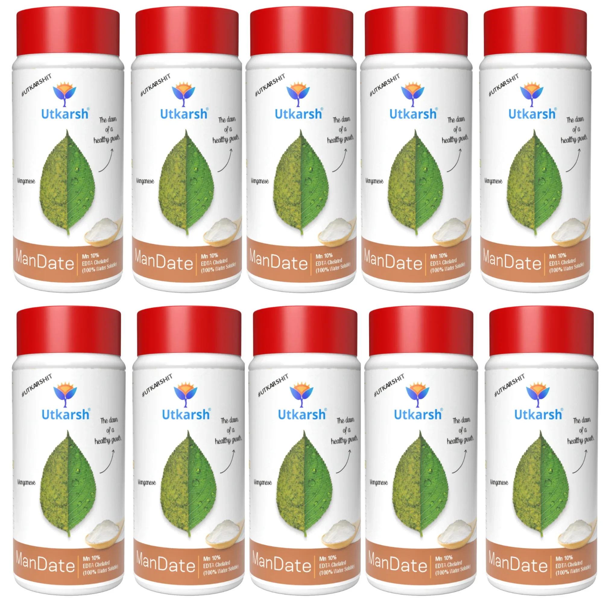 Manganese - 10% EDTA Chelated Micronutrient, 100% Water Soluble Fertilizers for Plants, Resistance to Root Pathogens, Enhances & Boosts Plant Growth | ManDate - Image 14