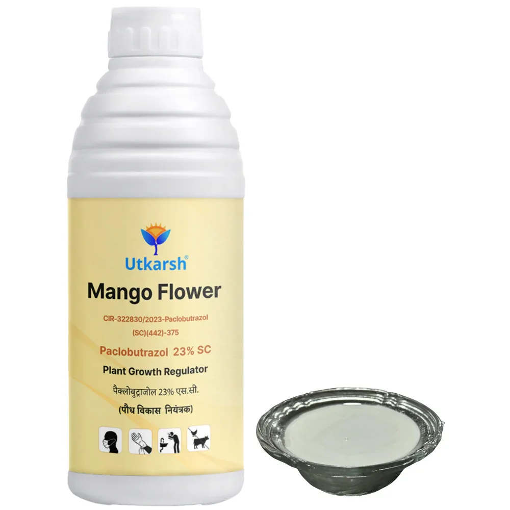 Mango Flower (Paclobutrazol 23% SC) | Plant Growth Regulator - Image 10