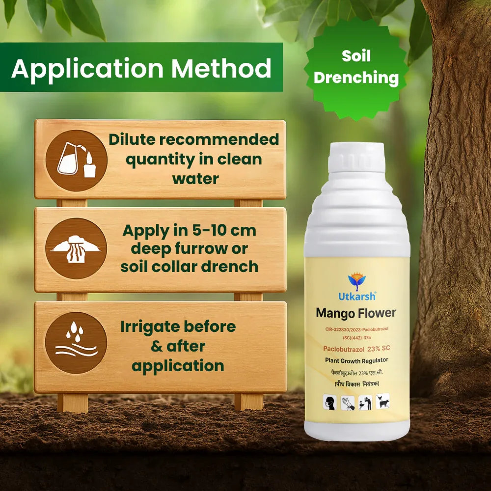 Mango Flower (Paclobutrazol 23% SC) | Plant Growth Regulator - Image 3