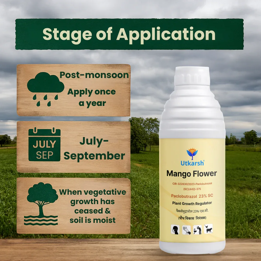 Mango Flower (Paclobutrazol 23% SC) | Plant Growth Regulator - Image 4