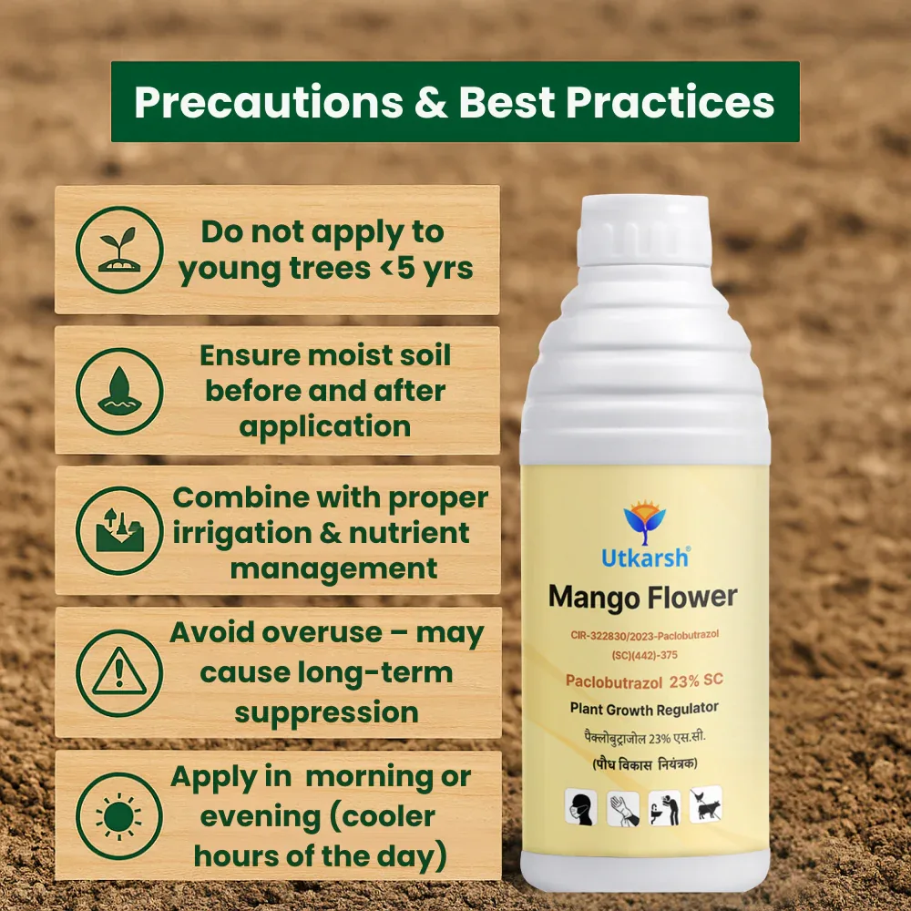 Mango Flower (Paclobutrazol 23% SC) | Plant Growth Regulator - Image 5