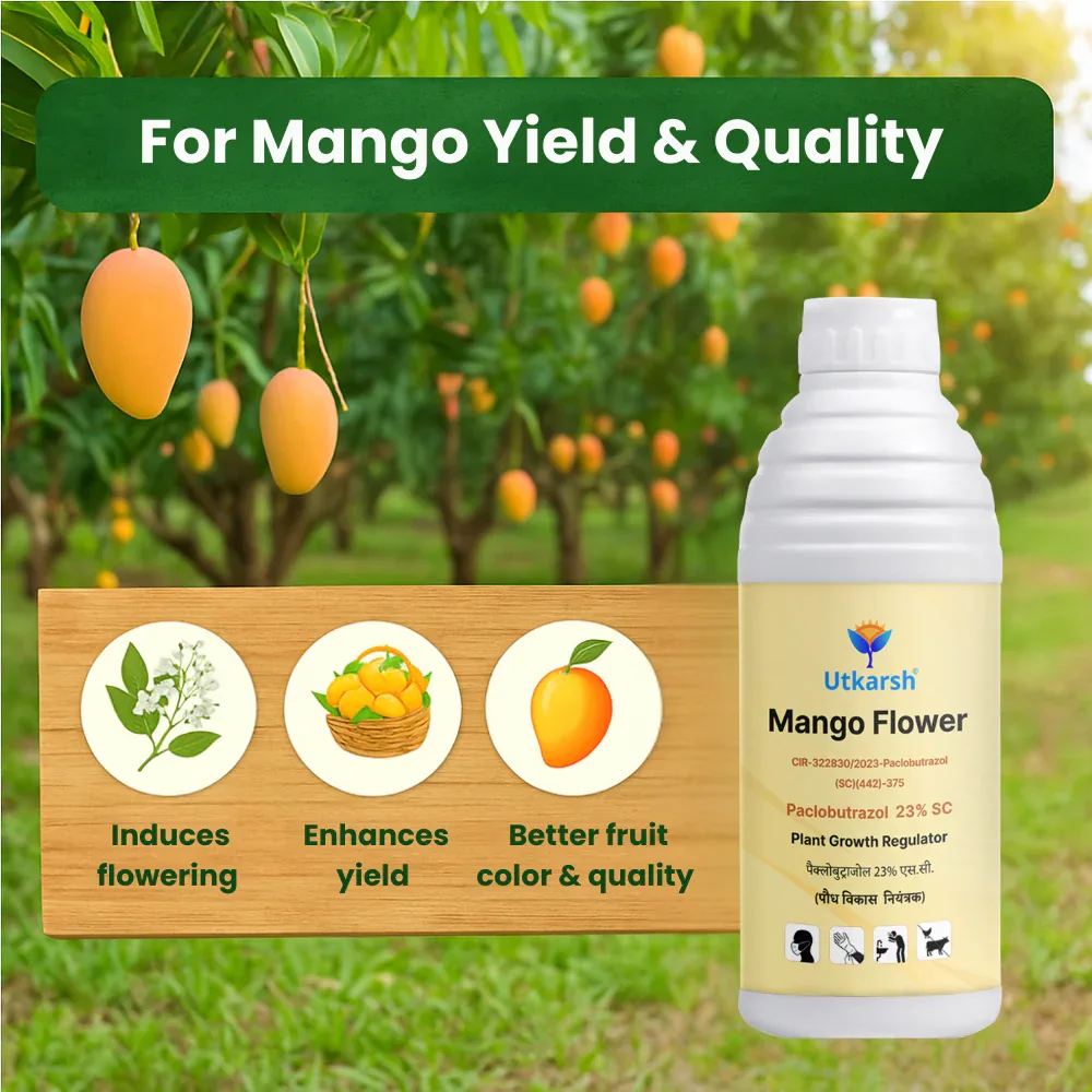 Mango Flower (Paclobutrazol 23% SC) | Plant Growth Regulator - Image 6