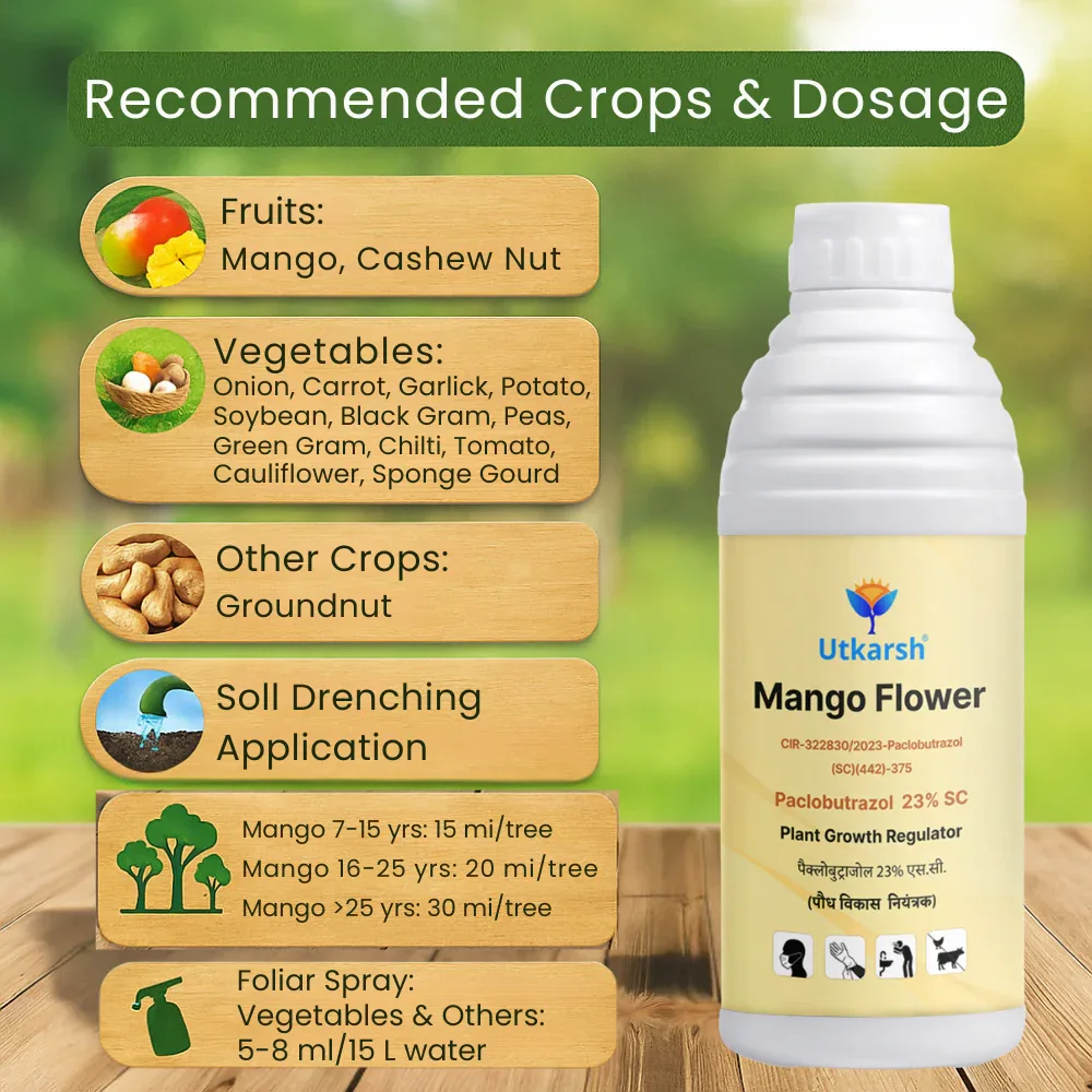 Mango Flower (Paclobutrazol 23% SC) | Plant Growth Regulator - Image 7