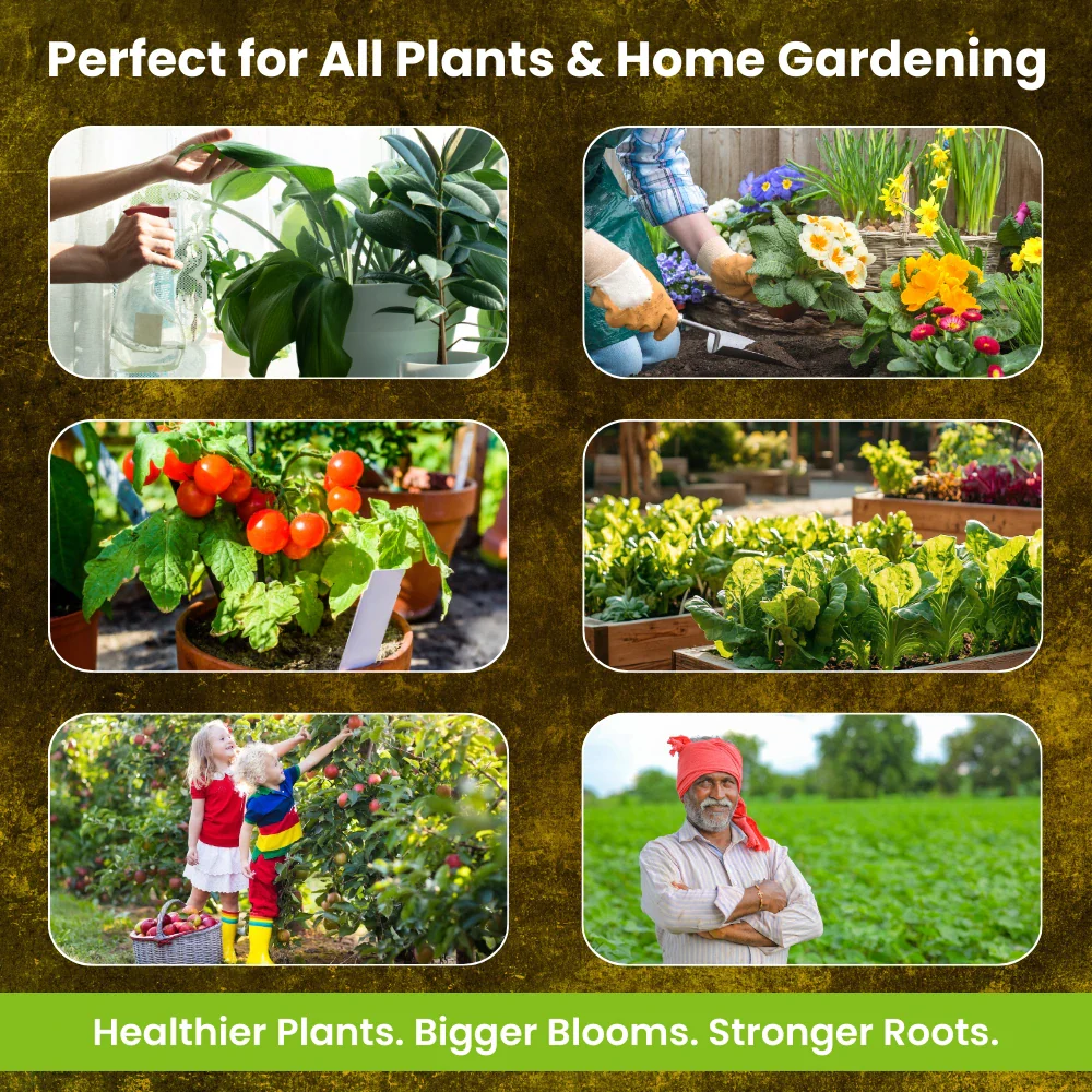 MAP 12 61 00 - Mono Ammonium Phosphate, NPK Fertilizers for Plants Growth & Home Garden | 100% Water Soluble Powder, Foliar Spray Nutrition - Image 8