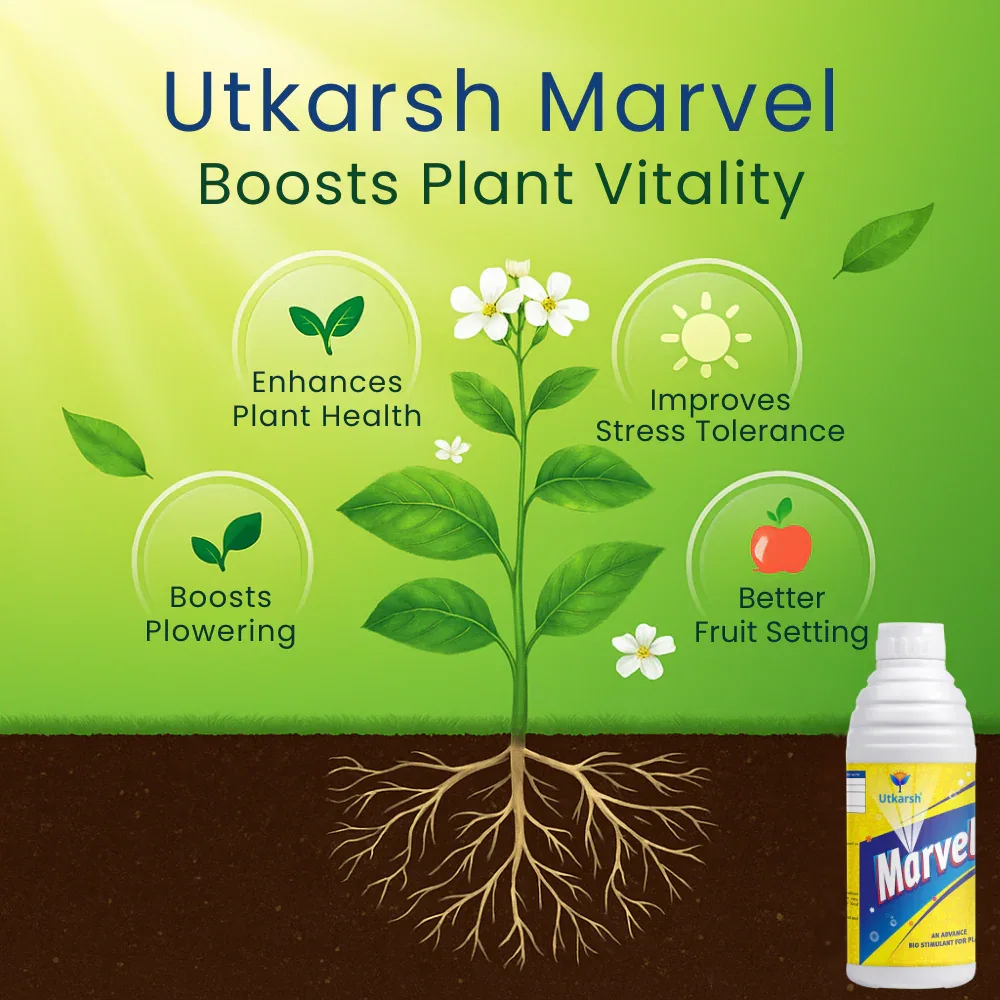 Marvel (Advanced Biostimulant For Plants and Flowering) - Image 3