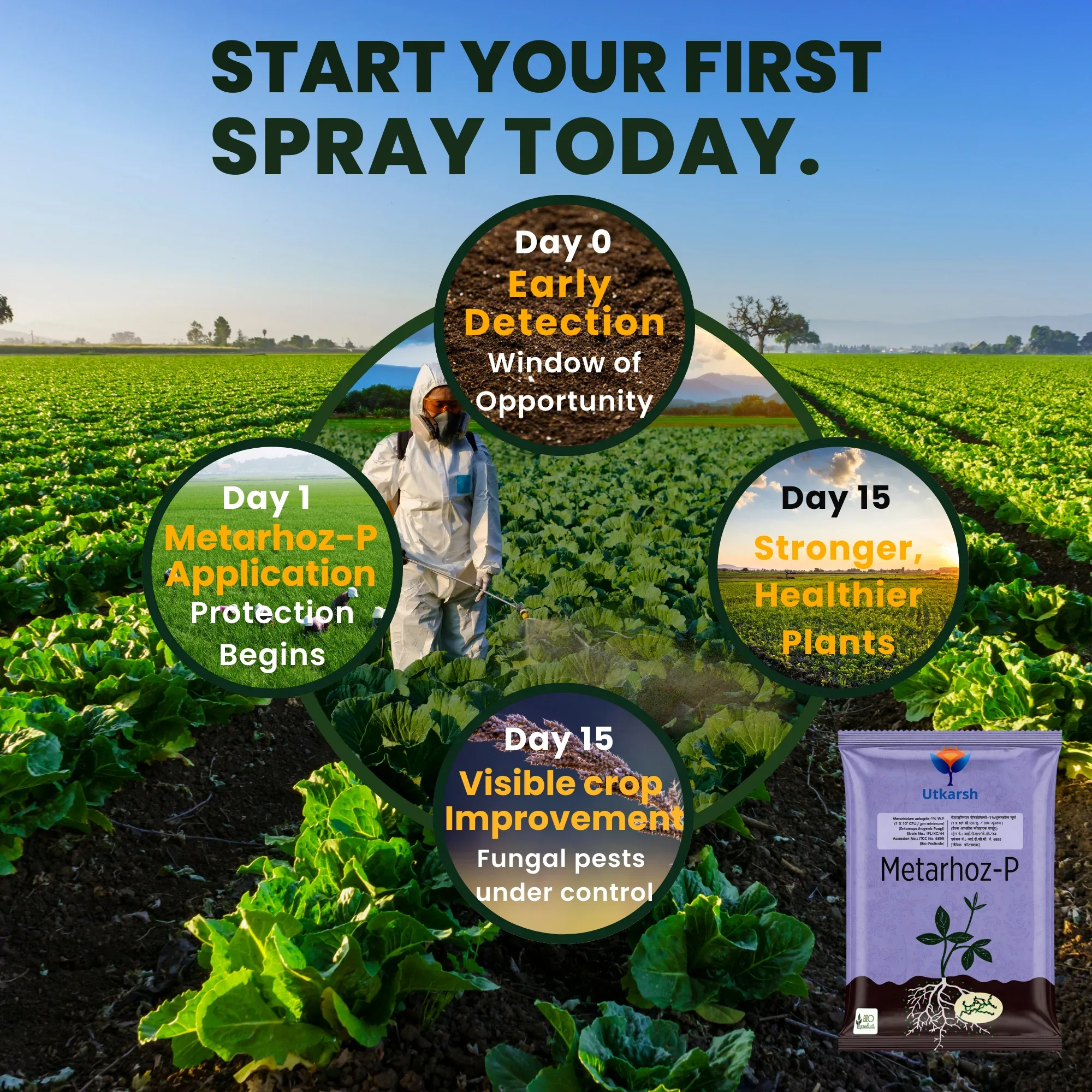 Metarhizium Anisopliae 1% W.P. 1 x 10^8 CFU/gm min. Bio Insecticides for Plants, Crops and Home Gardening - Metarhoz-P - Image 4