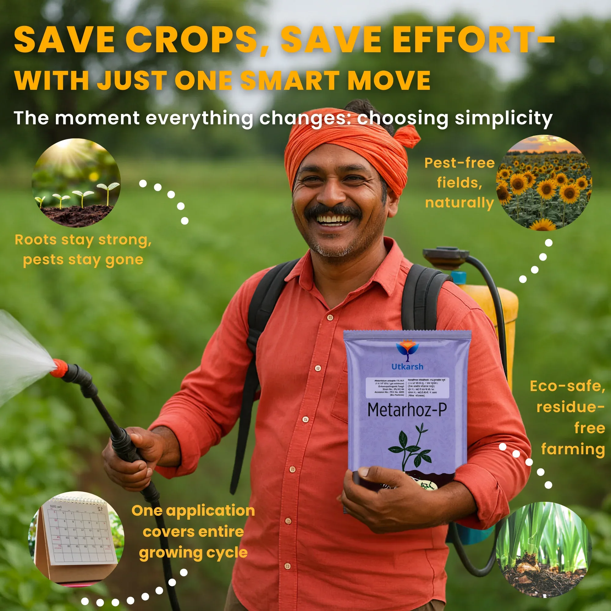 Metarhizium Anisopliae 1% W.P. 1 x 10^8 CFU/gm min. Bio Insecticides for Plants, Crops and Home Gardening - Metarhoz-P - Image 5