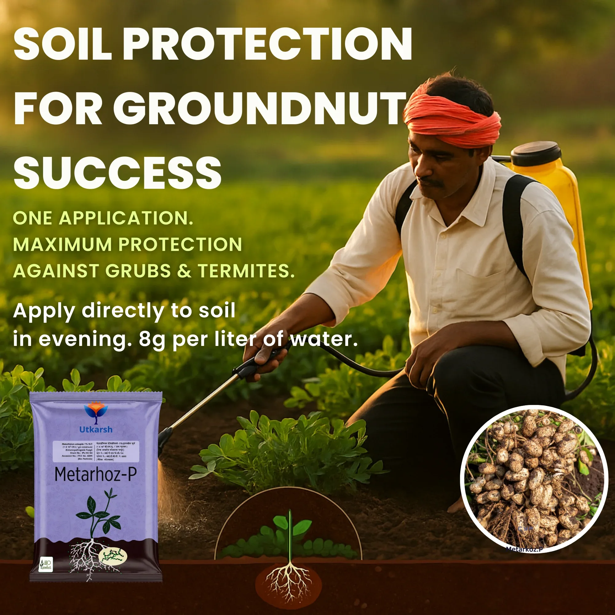 Metarhizium Anisopliae 1% W.P. 1 x 10^8 CFU/gm min. Bio Insecticides for Plants, Crops and Home Gardening - Metarhoz-P - Image 7