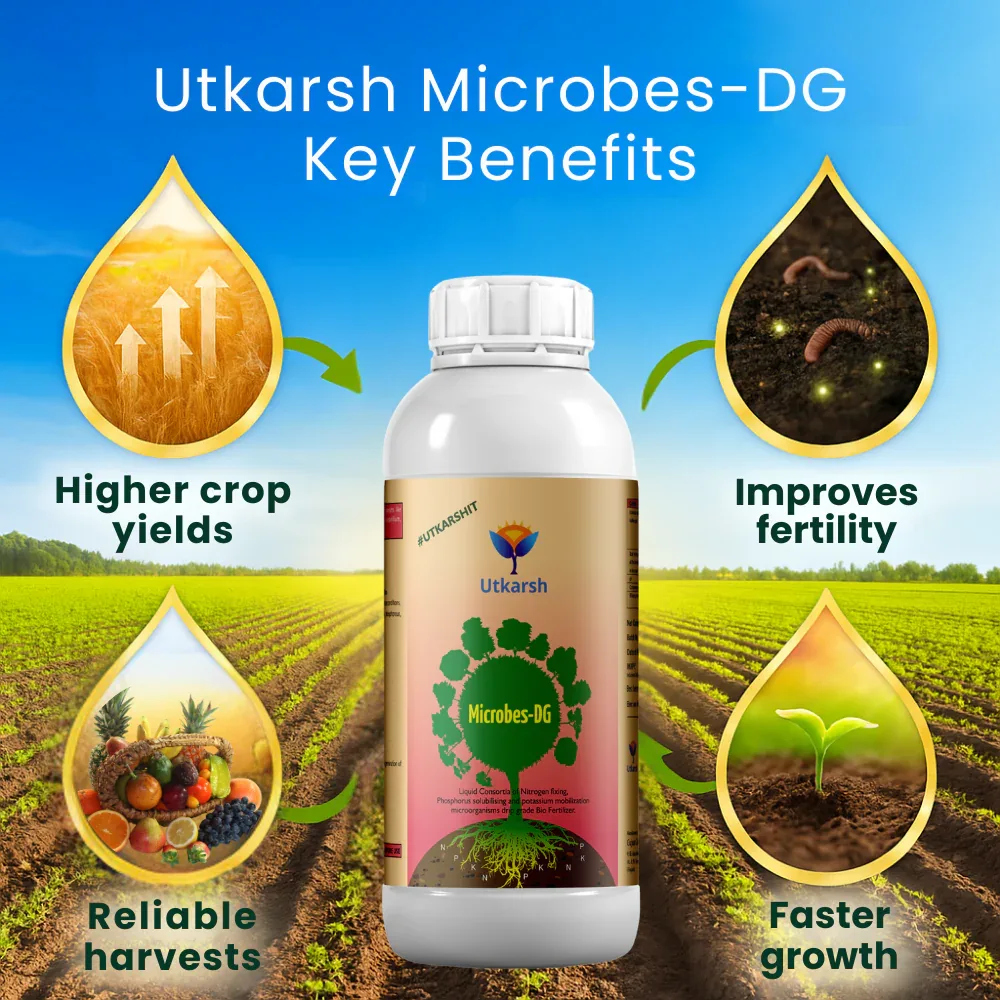 Microbes-DG (Combination of Beneficial Microbes) Bio Fertilizer for Natural NPK, Reduce pH & EC in Soil, Robust Plant Growth & Health, Cost-Effective & Ecofriendly - Image 3