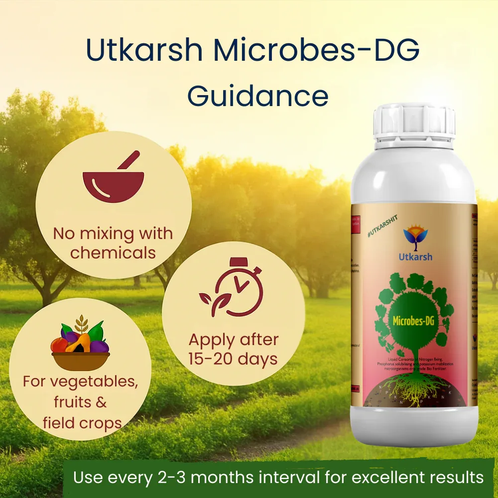 Microbes-DG (Combination of Beneficial Microbes) Bio Fertilizer for Natural NPK, Reduce pH & EC in Soil, Robust Plant Growth & Health, Cost-Effective & Ecofriendly - Image 5