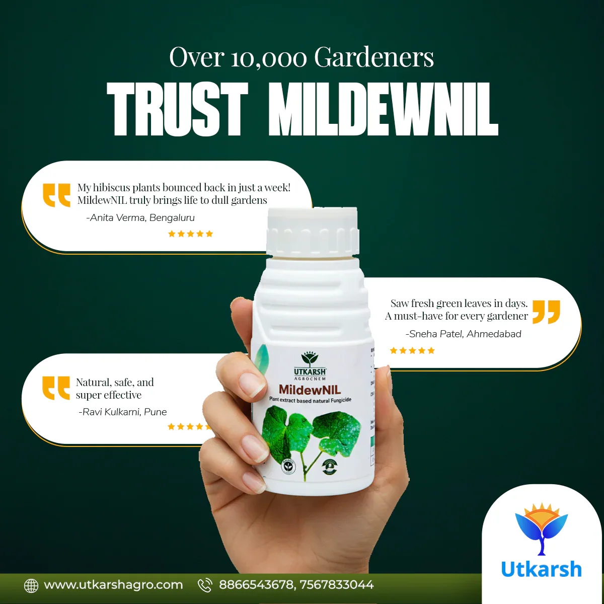 MildewNil - Plant Extract-Based Natural Fungicide - Image 4