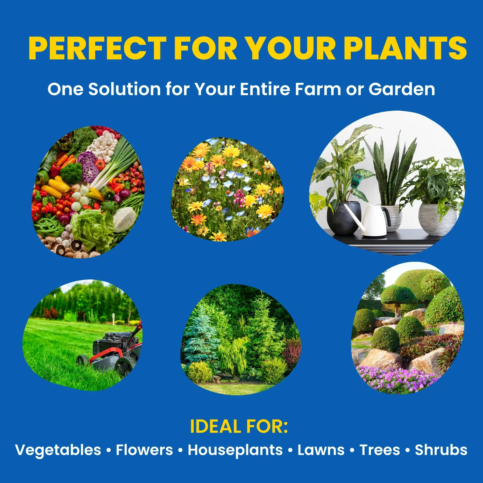 MKP 00 52 34 - Mono Potassium Phosphate, 100% Water Soluble Foliar Spray Nutrition | NPK Fertilizers for Growth, Flowering & Fruiting in Plants, Home Garden - Image 3