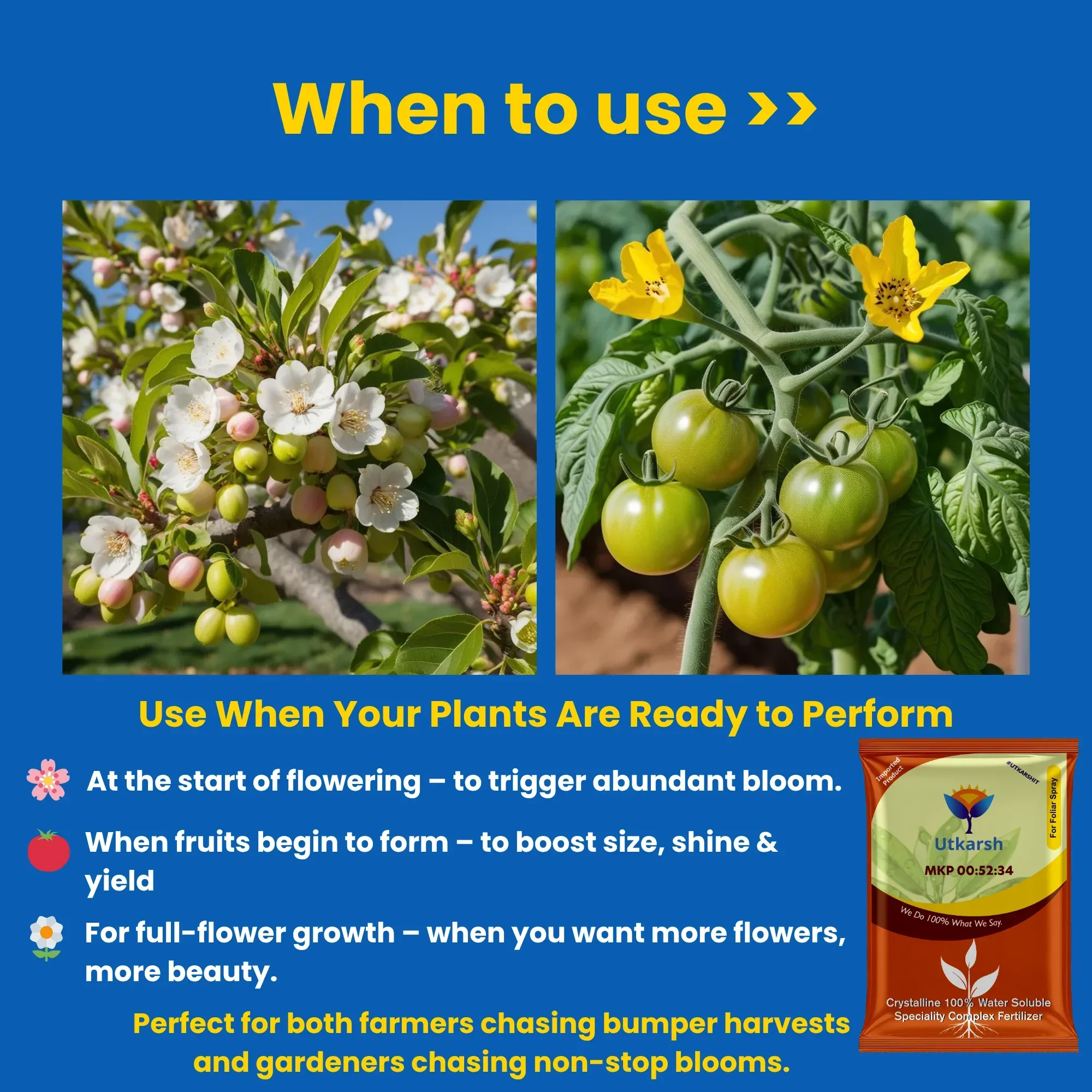 MKP 00 52 34 - Mono Potassium Phosphate, 100% Water Soluble Foliar Spray Nutrition | NPK Fertilizers for Growth, Flowering & Fruiting in Plants, Home Garden - Image 4