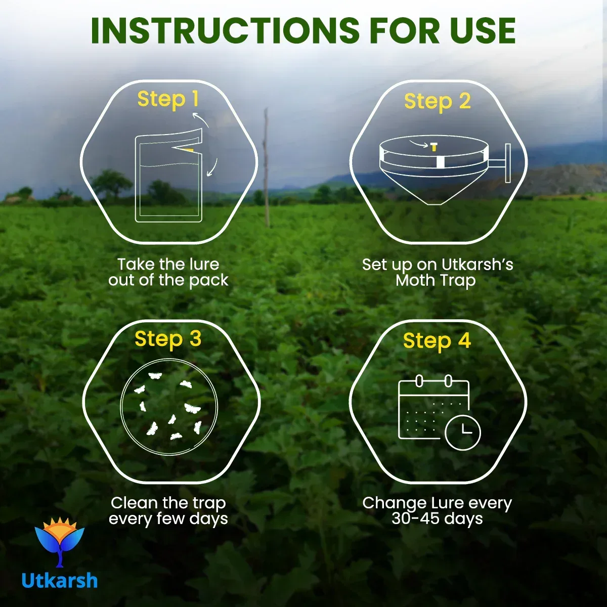 Funnel Trap - Image 3