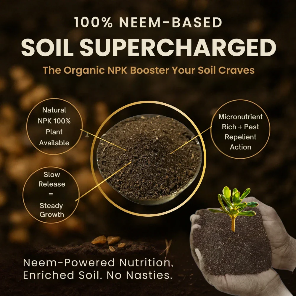 Neem Cake Powder for Plants, Organic Neem Khali Fertilizer for Home Garden, Manure for Flowers, Vegetables & Lawn - Image 4