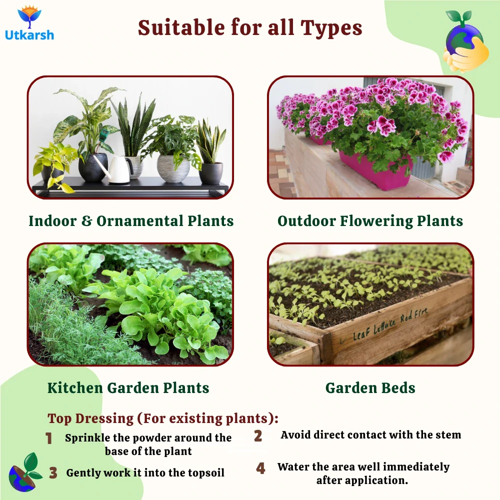 Neem Cake Powder for Plants, Organic Neem Khali Fertilizer for Home Garden, Manure for Flowers, Vegetables & Lawn - Image 5