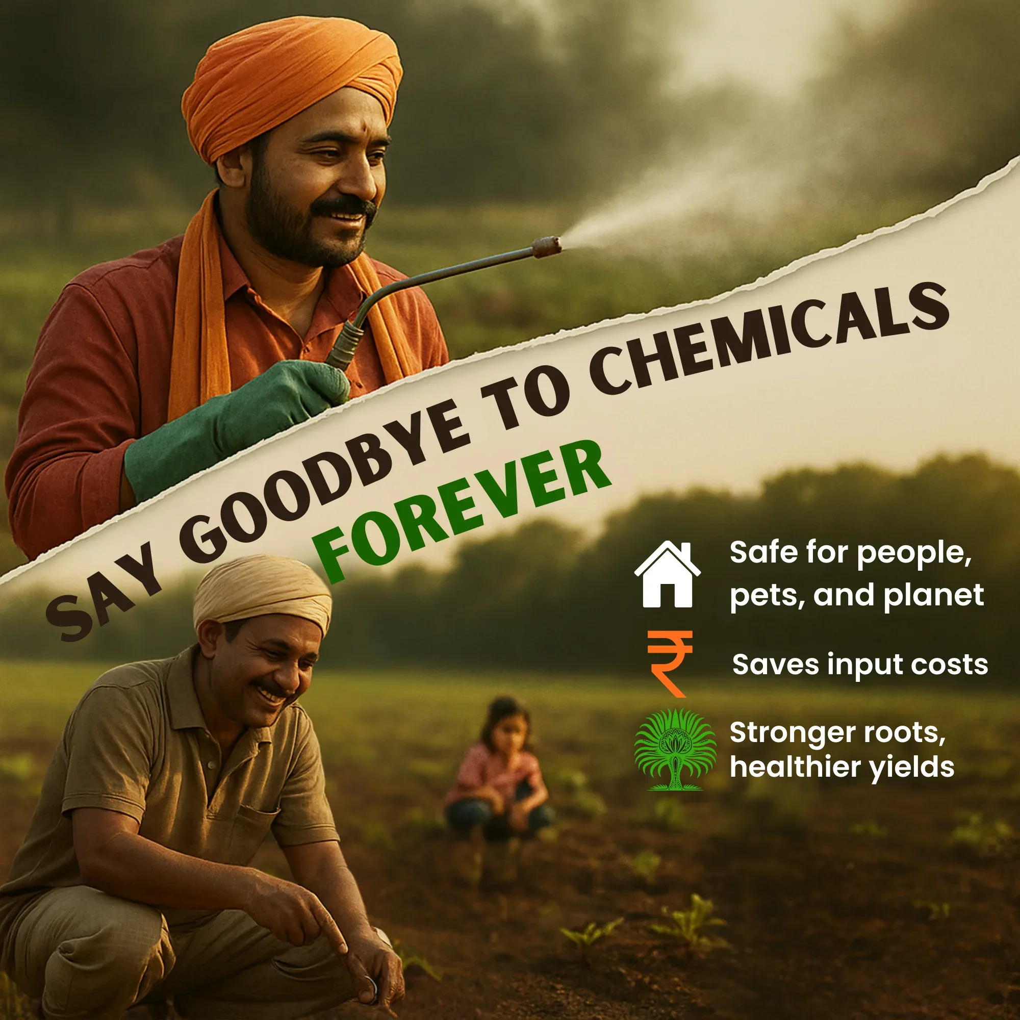 Verticillium Chlamydosporium | Pochonia Chlamydosporia 1.0% W.P 2 x 10^6 CFU/gm min. Bio Nematicides for Plants, Crops and Home Gardening - Nematoz-P - Image 6