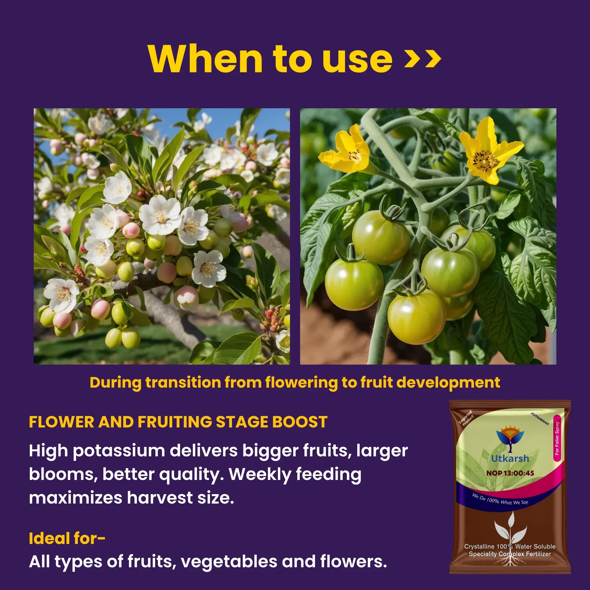 NOP 13 00 45 - Potassium Nitrate, NPK Fertilizers for Plants Growth & Healthy Home Garden | 100% Water Soluble Powder, Growth Boost for Fruits and Flowers - Image 4