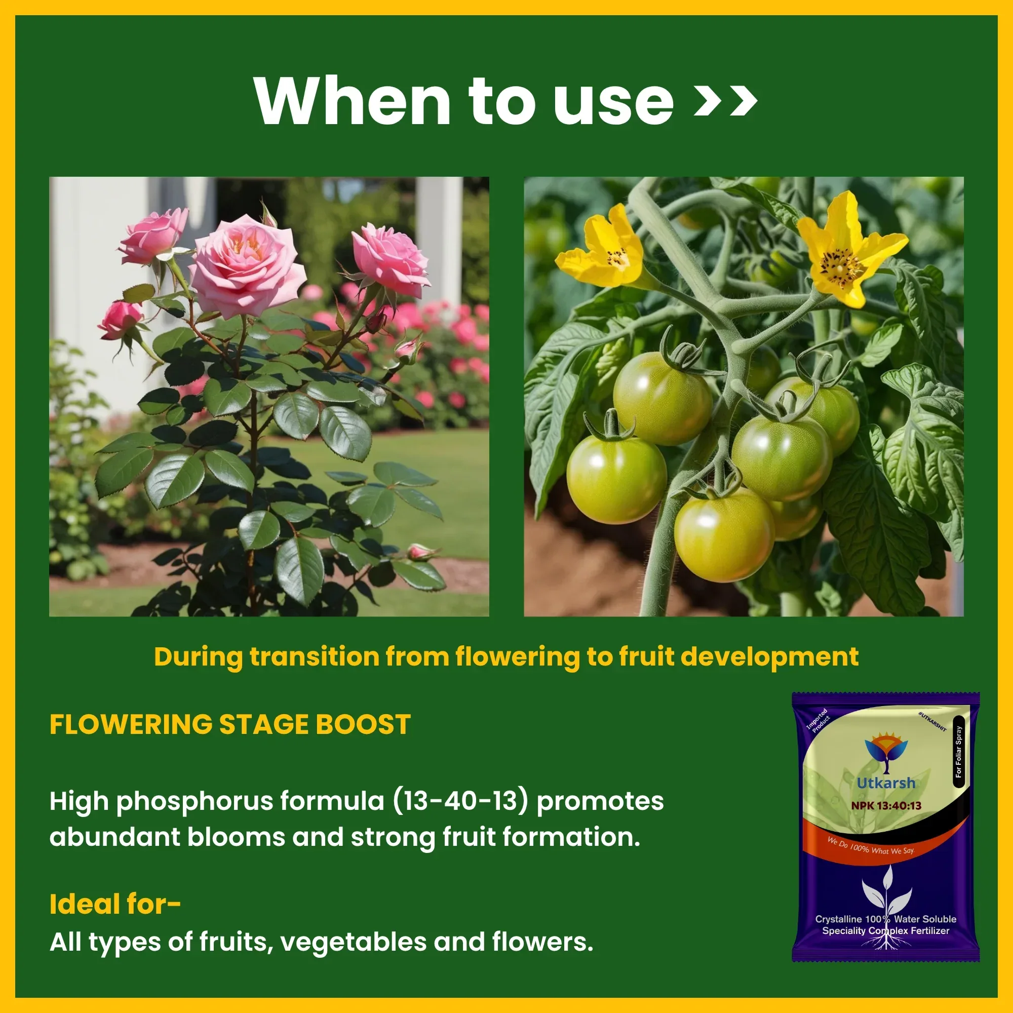 NPK 13 40 13 Fertilizers for Plants | 100% Water Soluble Powder | Complete Plant Food and Nutrition for Healthy Home Garden, Growth Boost for Fruits and Flowers - Image 4