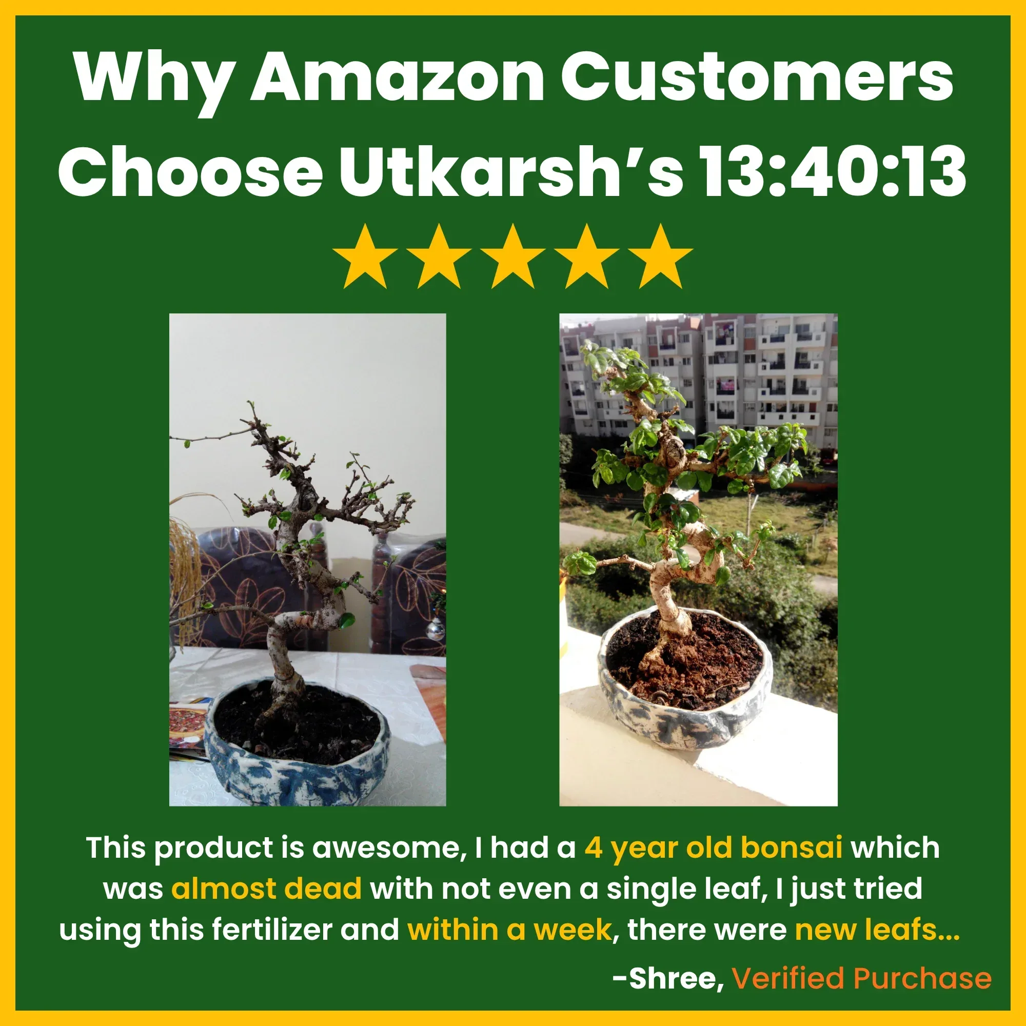 NPK 13 40 13 Fertilizers for Plants | 100% Water Soluble Powder | Complete Plant Food and Nutrition for Healthy Home Garden, Growth Boost for Fruits and Flowers - Image 5