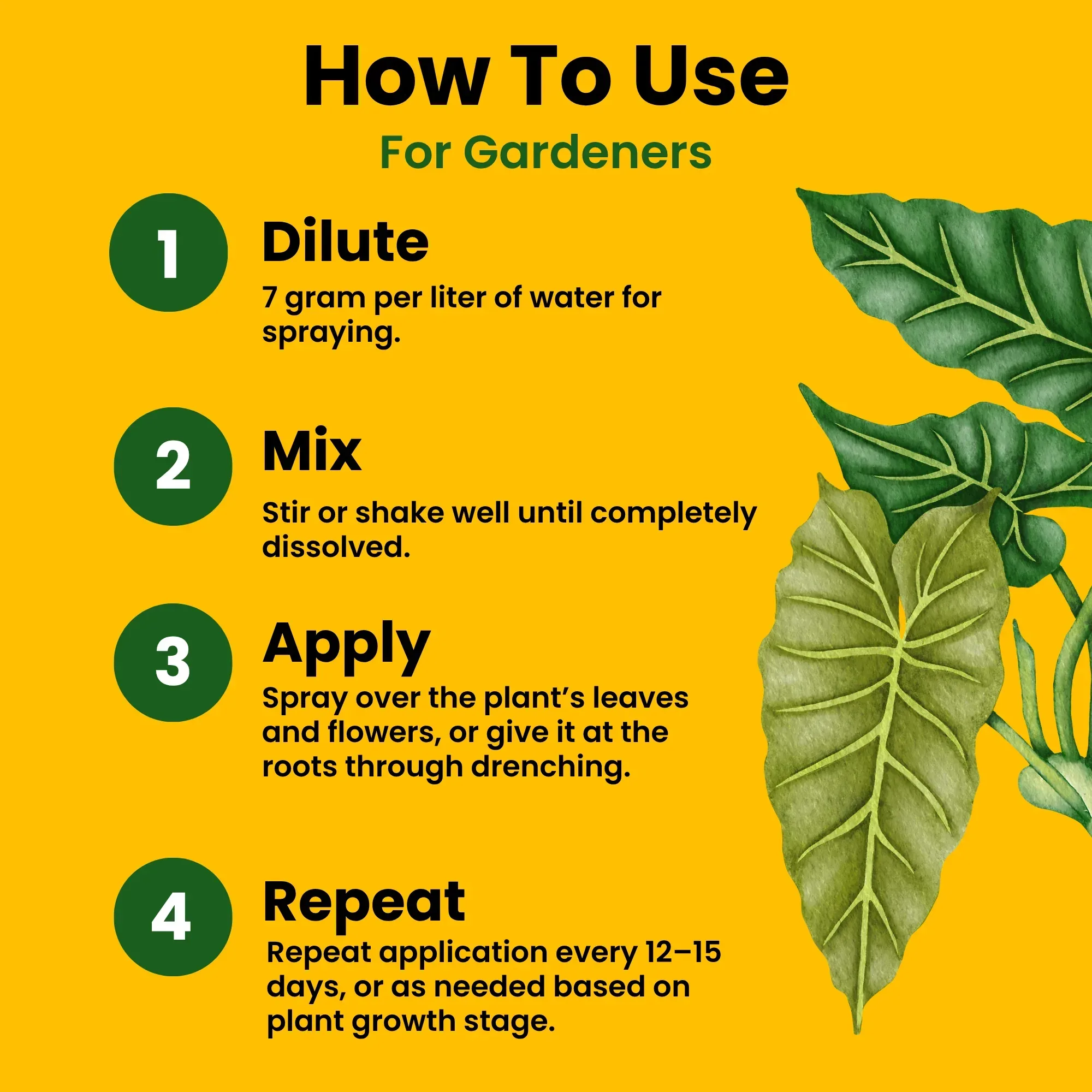 NPK 13 40 13 Fertilizers for Plants | 100% Water Soluble Powder | Complete Plant Food and Nutrition for Healthy Home Garden, Growth Boost for Fruits and Flowers - Image 6