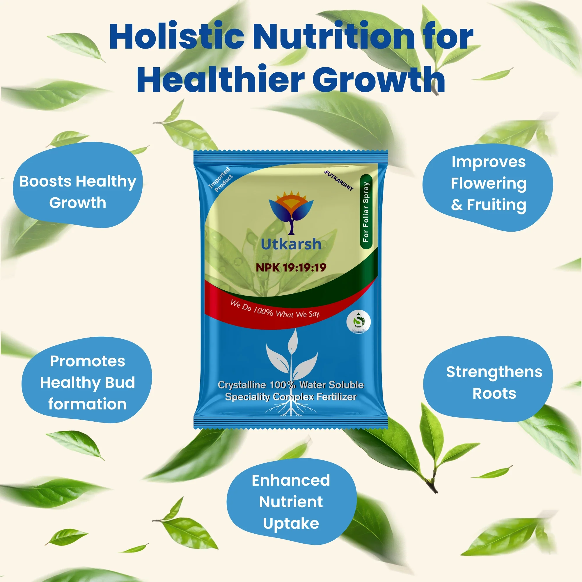 NPK 19 19 19 Fertilizer for Plants Growth | 100% Water Soluble | Complete Plant Food for Home Garden, Boosts Plant Health and Flowering - Image 3