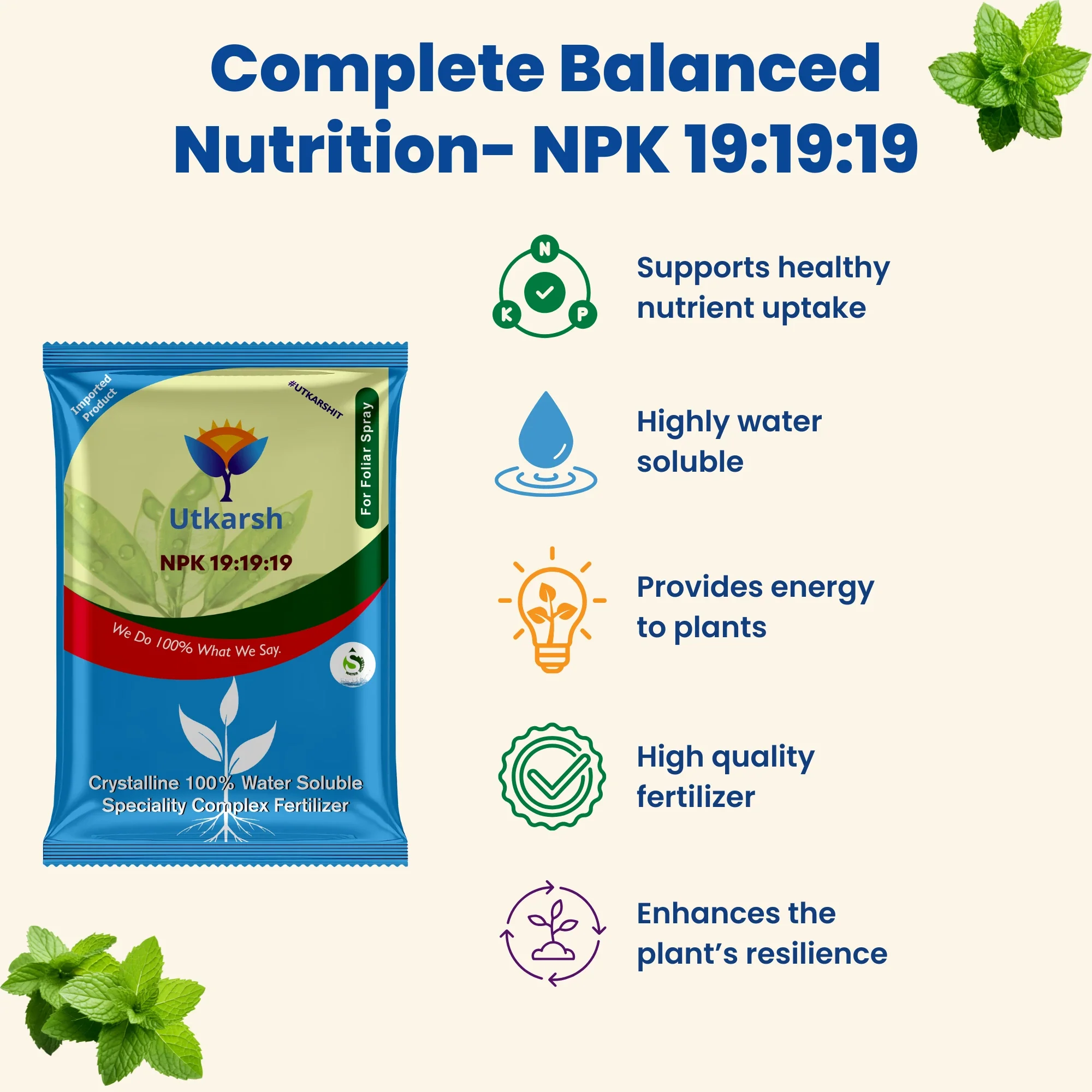 NPK 19 19 19 Fertilizer for Plants Growth | 100% Water Soluble | Complete Plant Food for Home Garden, Boosts Plant Health and Flowering - Image 4