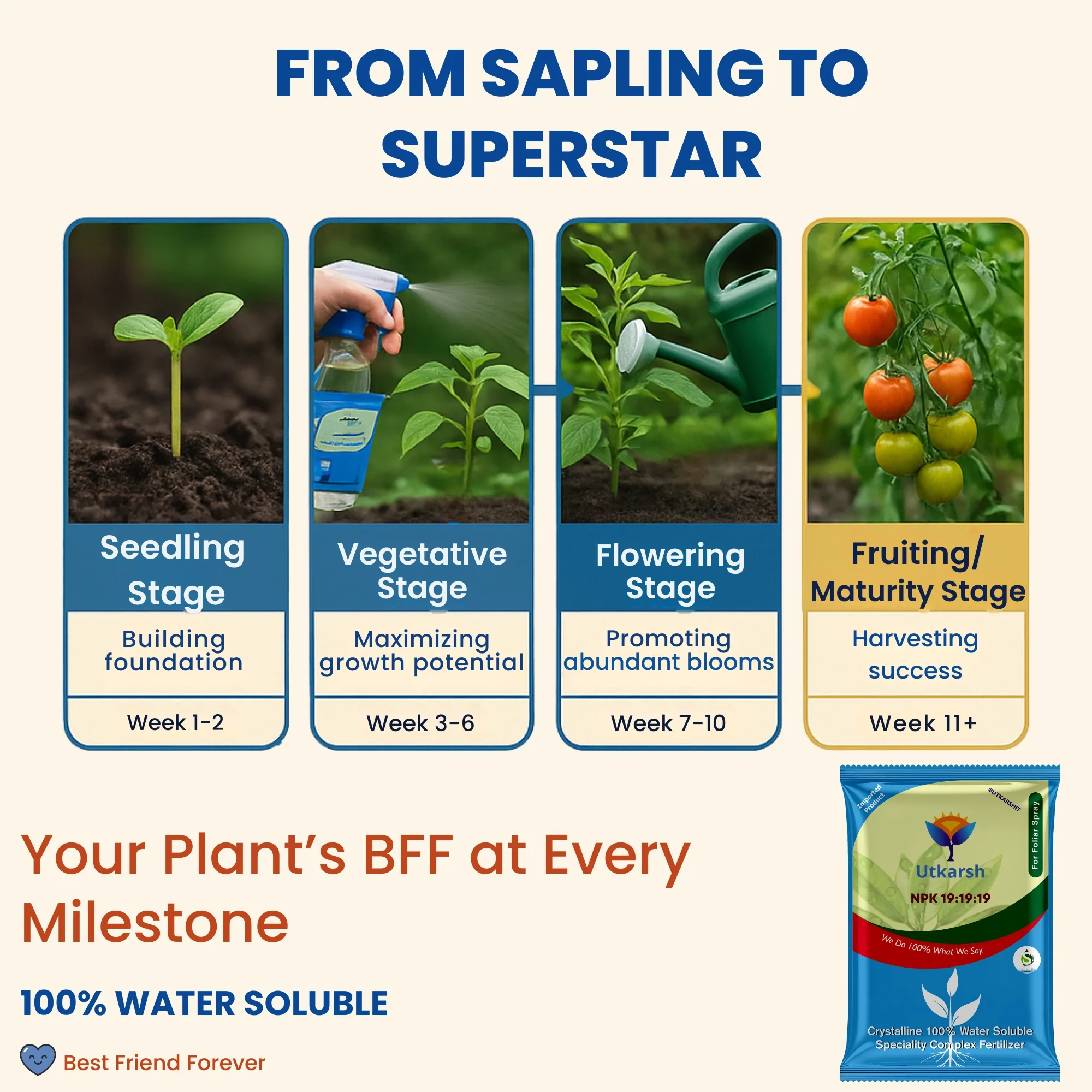 NPK 19 19 19 Fertilizer for Plants Growth | 100% Water Soluble | Complete Plant Food for Home Garden, Boosts Plant Health and Flowering - Image 5