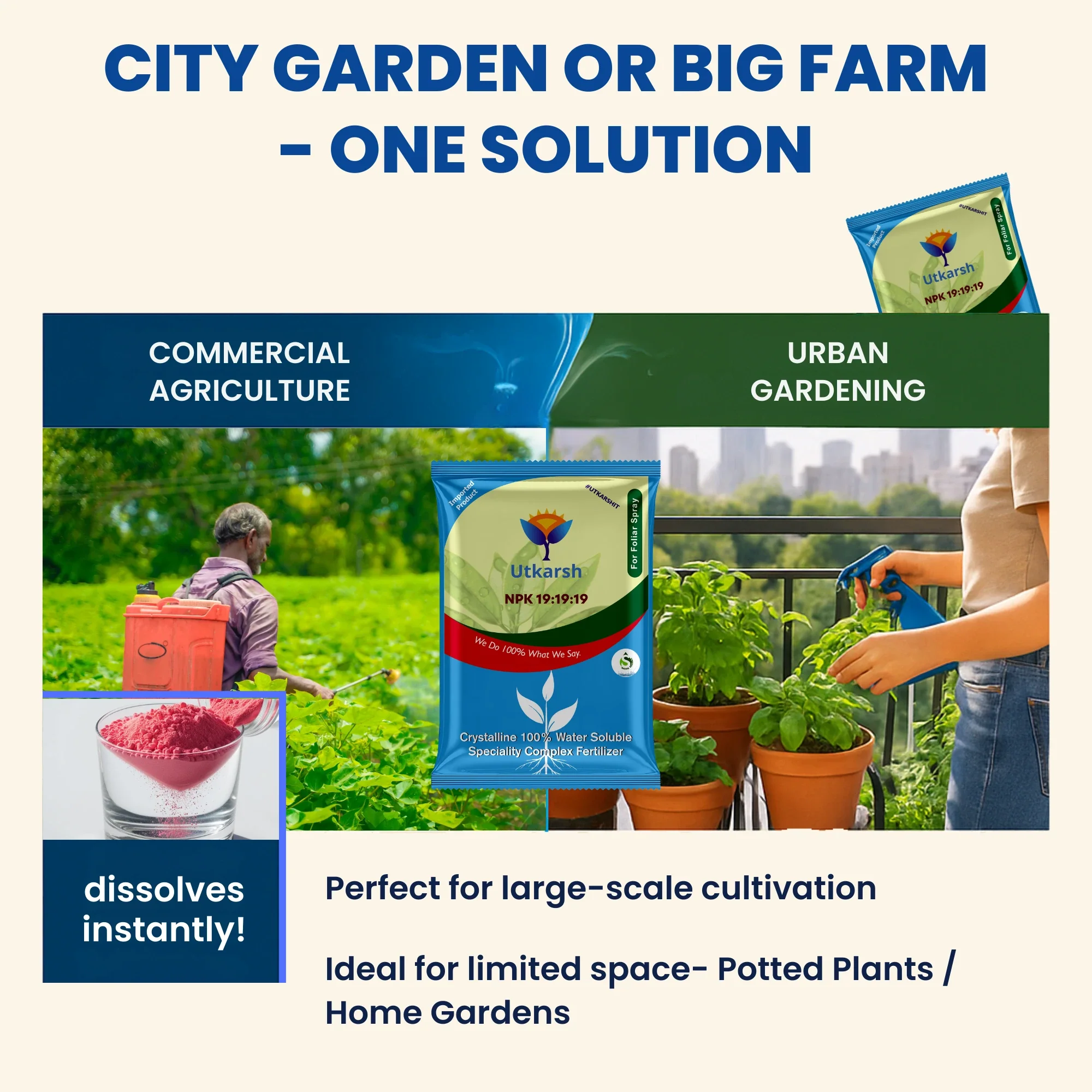 NPK 19 19 19 Fertilizer for Plants Growth | 100% Water Soluble | Complete Plant Food for Home Garden, Boosts Plant Health and Flowering - Image 7