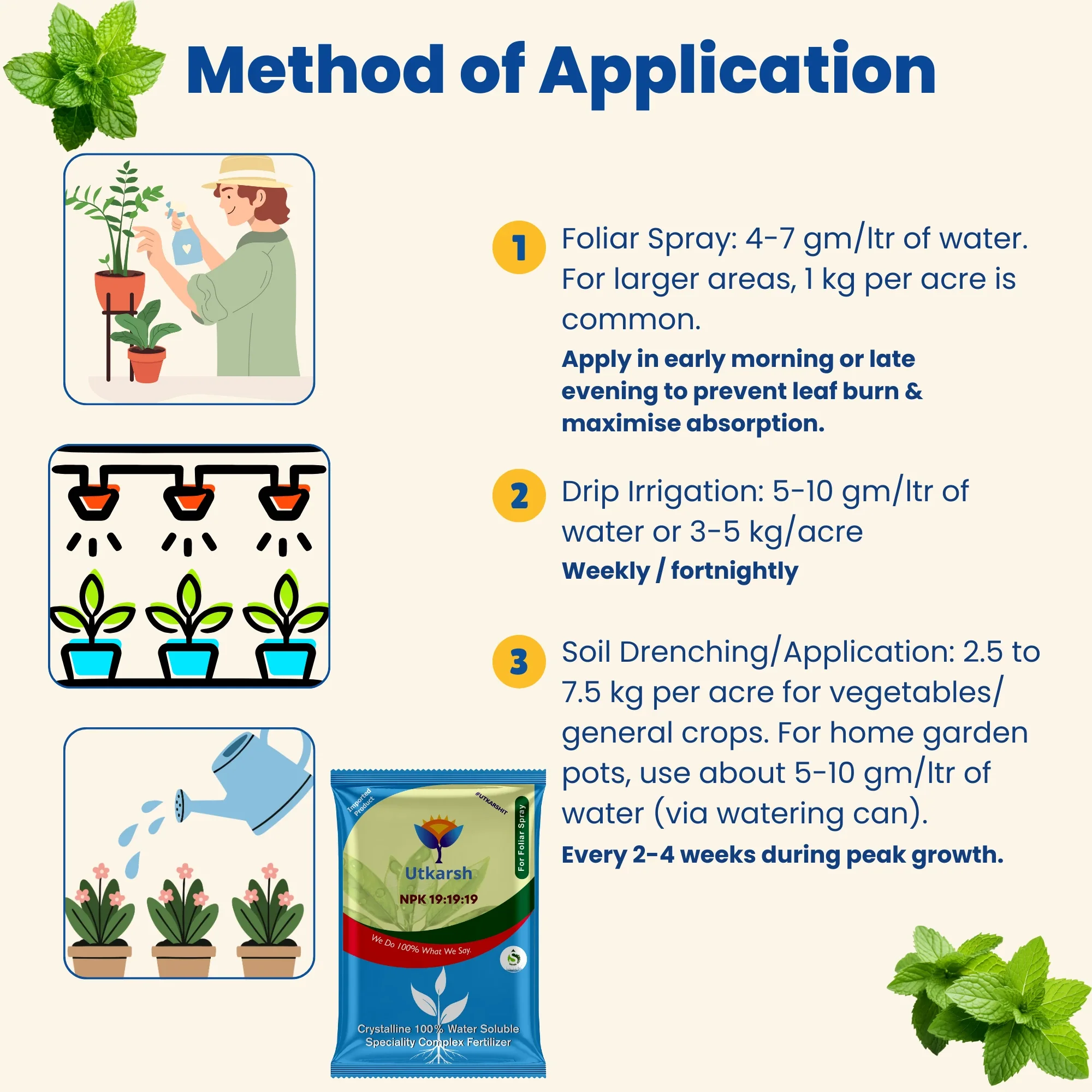 NPK 19 19 19 Fertilizer for Plants Growth | 100% Water Soluble | Complete Plant Food for Home Garden, Boosts Plant Health and Flowering - Image 8