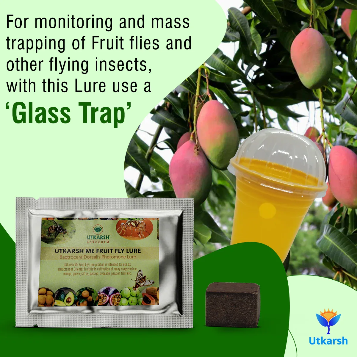 ME Fruit Fly (Oriental) Lure with Eco or Glass Trap - Image 3