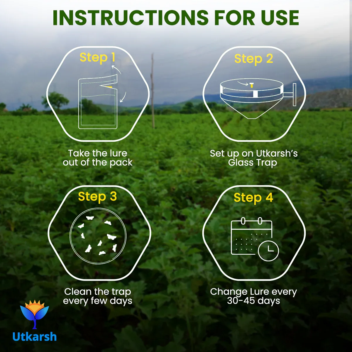 ME Fruit Fly (Oriental) Lure with Eco or Glass Trap - Image 7