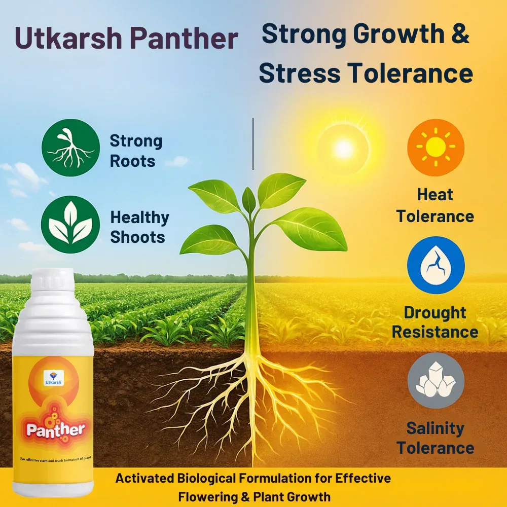 Panther (Activated Biological Formulation for Effective Flowering & Plant Growth) Biostimulant - Image 3