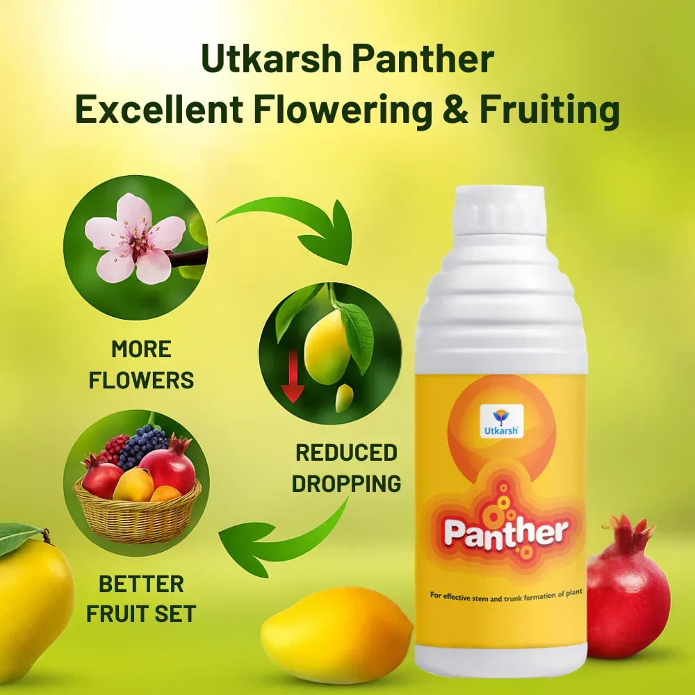 Panther (Activated Biological Formulation for Effective Flowering & Plant Growth) Biostimulant - Image 4