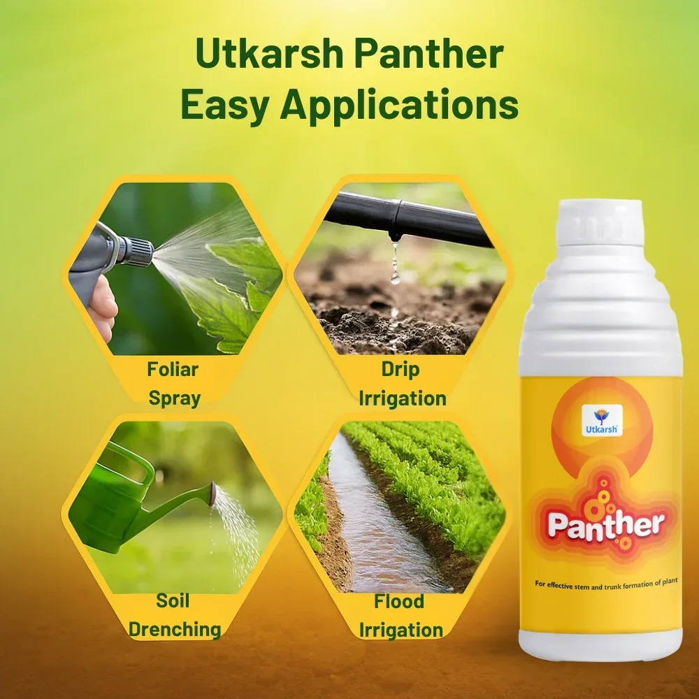 Panther (Activated Biological Formulation for Effective Flowering & Plant Growth) Biostimulant - Image 5