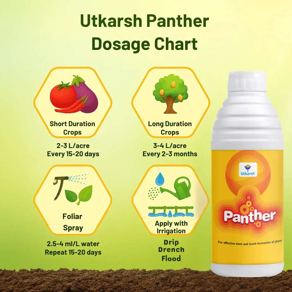 Panther (Activated Biological Formulation for Effective Flowering & Plant Growth) Biostimulant - Image 6