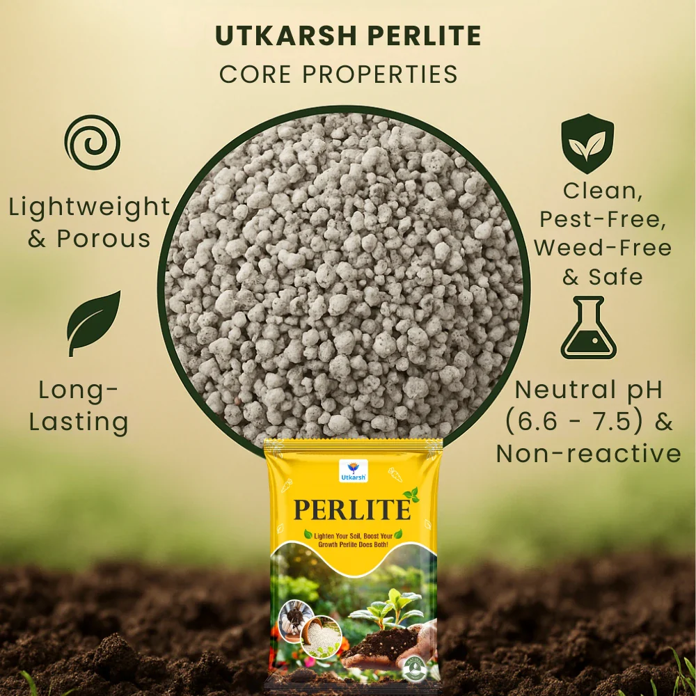 Perlite for Plants Growth, Home Terrace Garden, Indoor & Outdoor Plants, Hydroponics & Horticulture, Conditioner for Potting Soil Mix, Enhances Drainage & Aeration | Size: 2 - 7 mm - Image 3