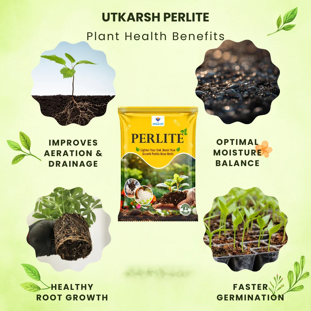 Perlite for Plants Growth, Home Terrace Garden, Indoor & Outdoor Plants, Hydroponics & Horticulture, Conditioner for Potting Soil Mix, Enhances Drainage & Aeration | Size: 2 - 7 mm - Image 4