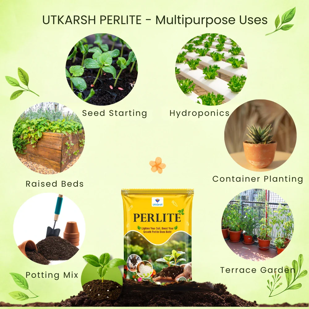 Perlite for Plants Growth, Home Terrace Garden, Indoor & Outdoor Plants, Hydroponics & Horticulture, Conditioner for Potting Soil Mix, Enhances Drainage & Aeration | Size: 2 - 7 mm - Image 5