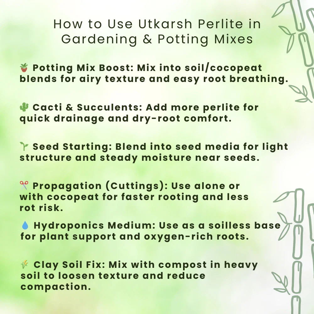 Perlite for Plants Growth, Home Terrace Garden, Indoor & Outdoor Plants, Hydroponics & Horticulture, Conditioner for Potting Soil Mix, Enhances Drainage & Aeration | Size: 2 - 7 mm - Image 6