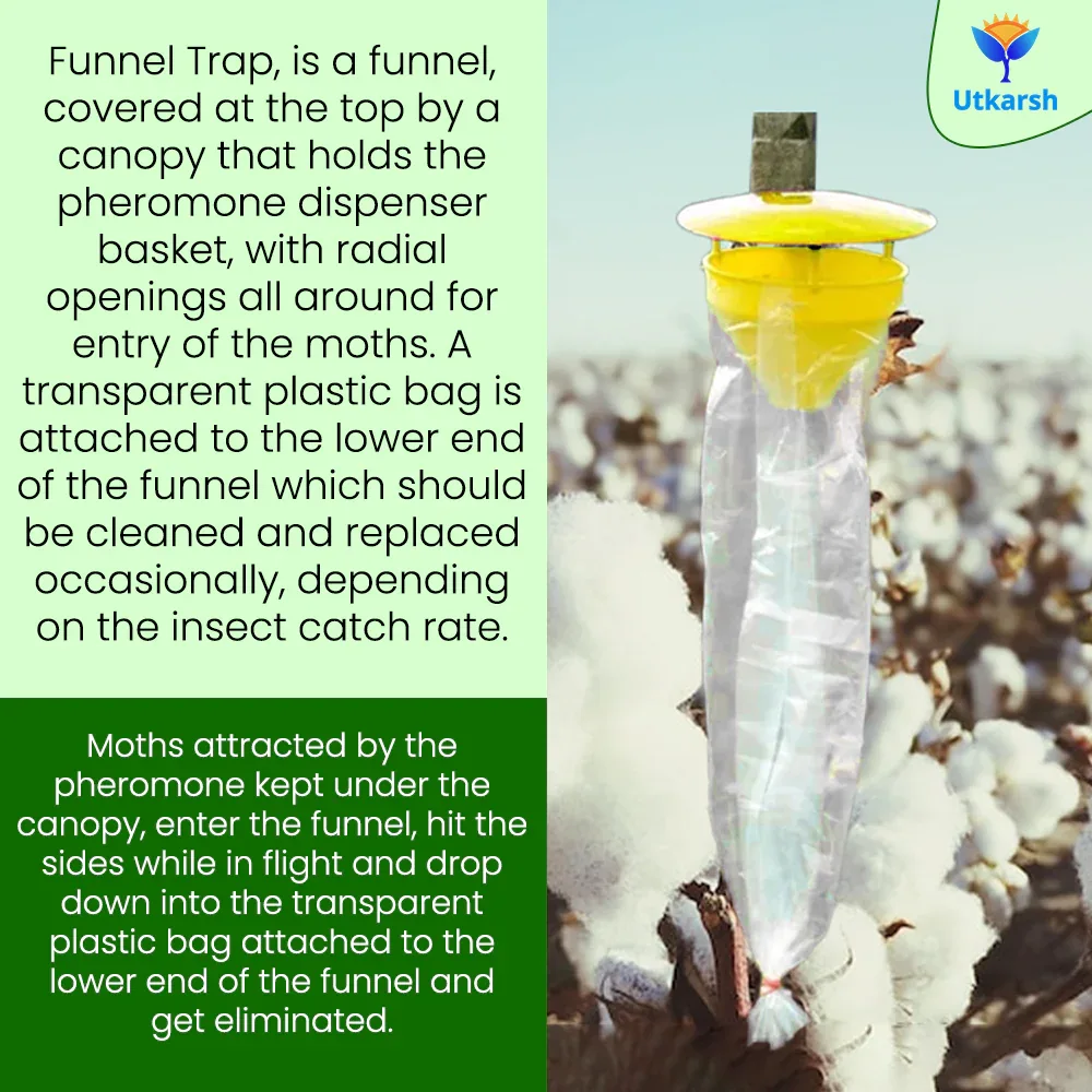 Pink Boll Worm Lure with Funnel Trap - Image 4