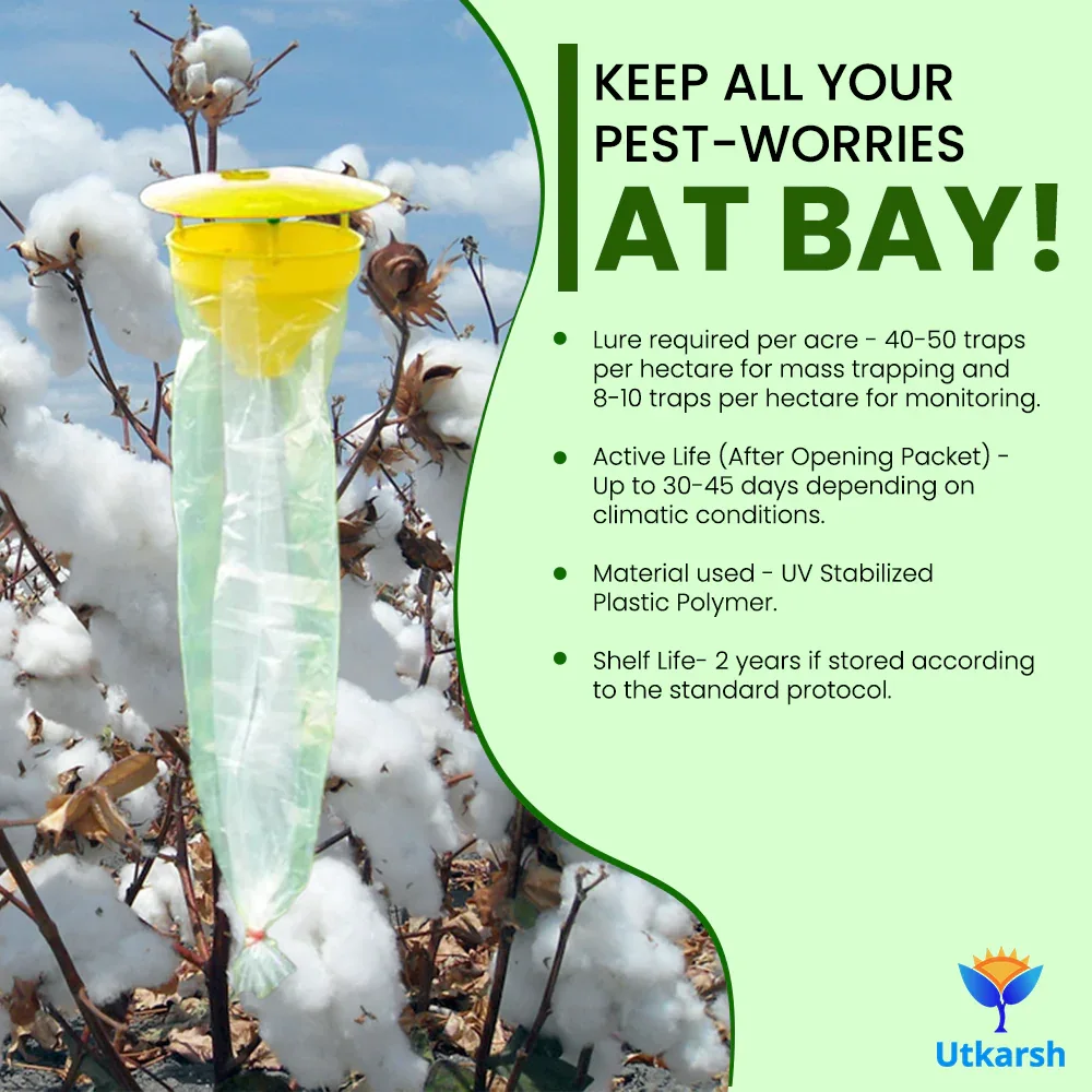 Pink Boll Worm Lure with Funnel Trap - Image 5