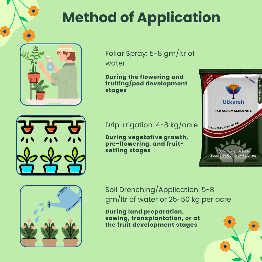 Potassium Schoenite, NPK 00 00 23 Fertilizers for Plants Growth & Home Garden | 100% Water Soluble Powder, Supplement for Fruits & Crops Yields - Image 6